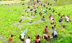 পানি সমস্যার কারনে দেশে মহাবিপর্যয়ের আশঙ্কা