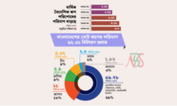 বিদেশি ঋণের সুদ পরিশোধ করতে চাপে পড়ছে বাজেট