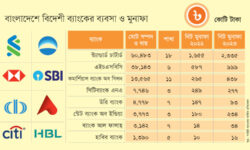 দেশীয় ব্যাংকের ব্যর্থতায় মুনাফা লুটছে বিদেশী ব্যাংক