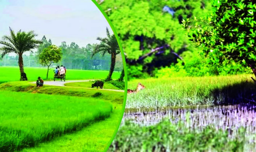 বর্ষণের ফলে সজীব-সতেজ হয়ে উঠছে প্রাণ-প্রকৃতি